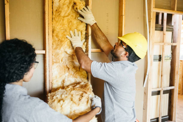 Best Commercial Insulation Services  in Rtez, CO